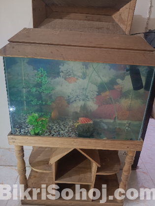 Aquriam ৩০ইঞ্চি /১৫ইঞ্চি